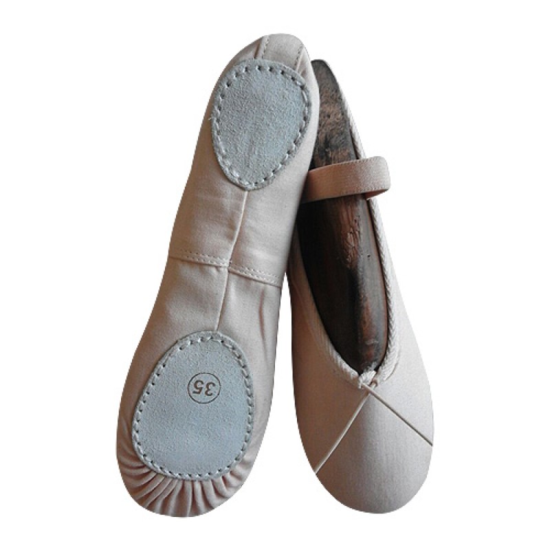 Canvas Ballet Shoes